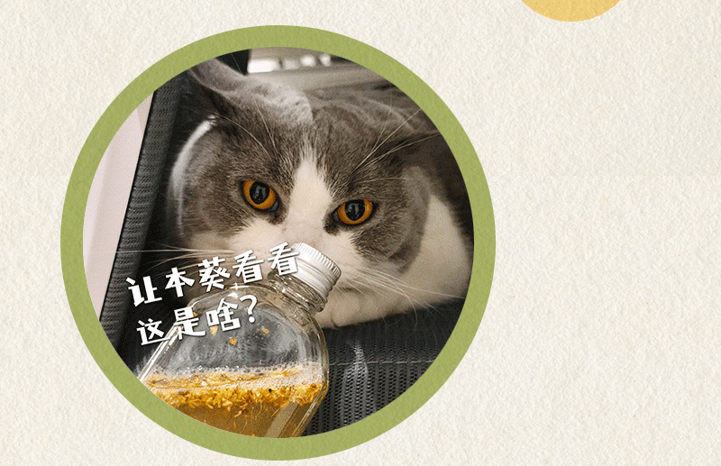 12.gif